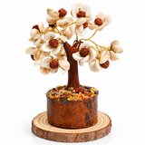 Gomti Chakra Rudraksh Tree (Mix Tree)