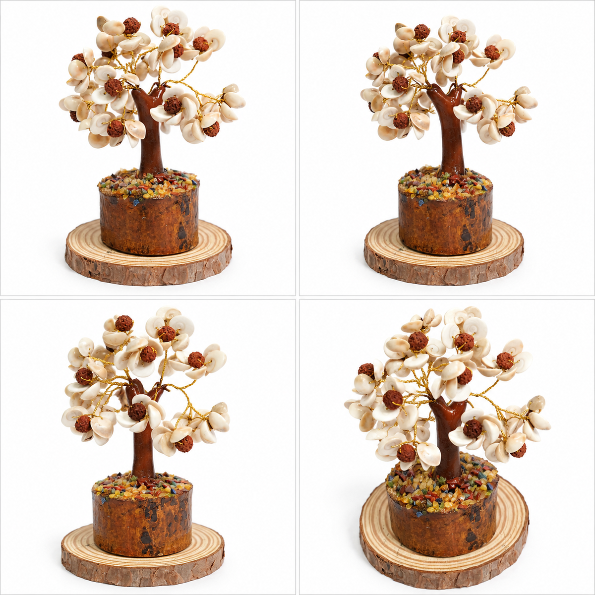 Gomti Chakra Rudraksh Tree (Mix Tree)