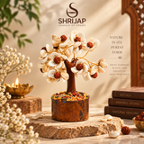 Gomti Chakra Rudraksh Tree (Mix Tree)